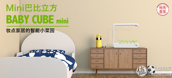 我的秘密菜园,我的秘密小菜地