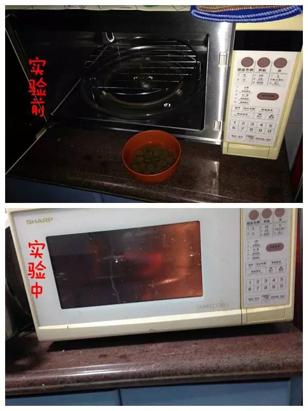 推荐几款好狗粮,2023热门狗粮测评