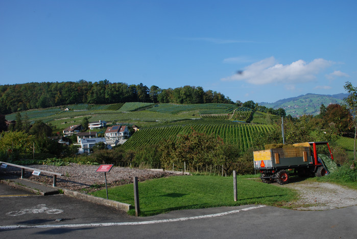 瑞士十日深度自驾游之六,湖光山色瑞士旅游