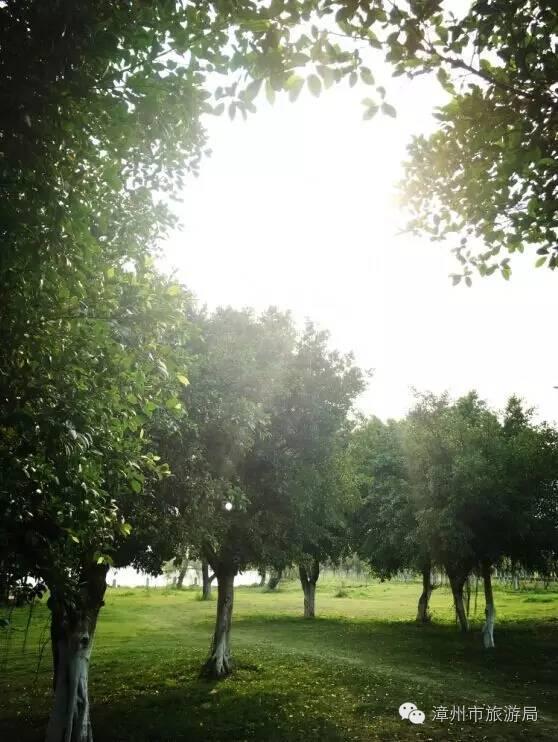 杭州西溪生态公园,西溪郊野公园好玩吗