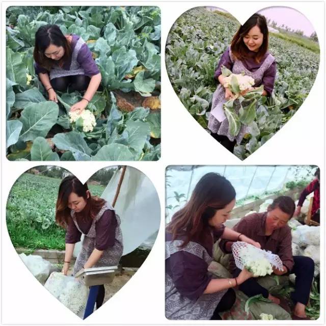 直播信阳大事件:40分钟销售两万斤!帮女郎~棒棒哒!