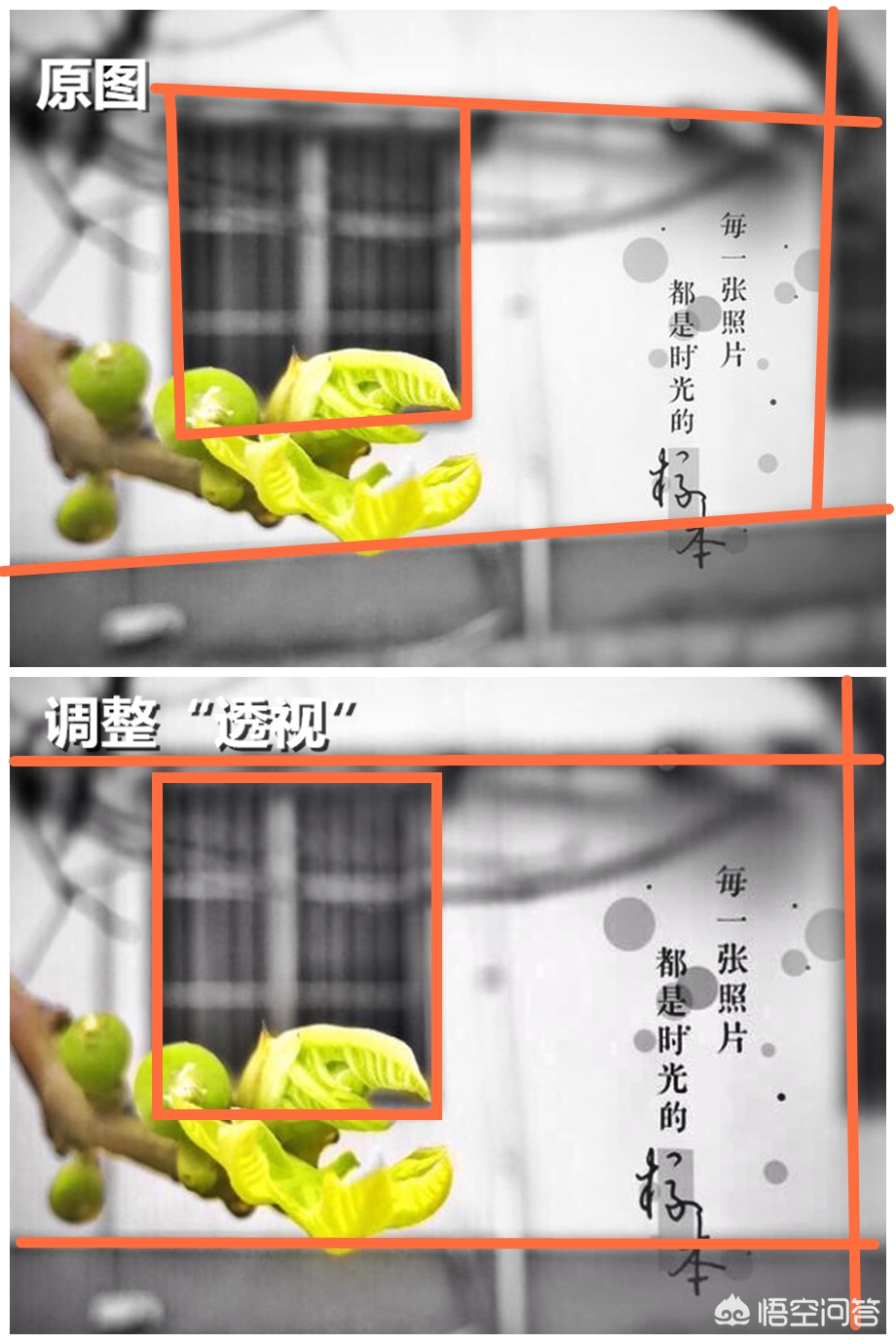 手机照片歪斜怎么调整,照片里的建筑物歪了怎么修正