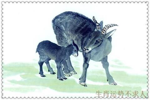 生肖羊的人命最好,十二生肖羊到底是什么命