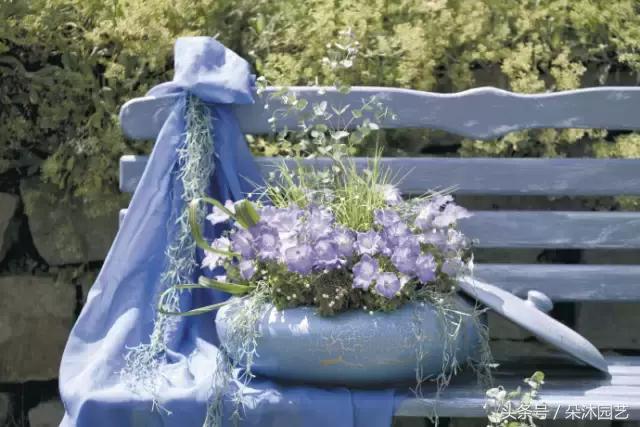 园艺插花容器,容器家庭园艺