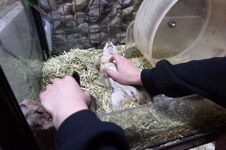 就连文艺女青年也找不到的史诗级咖啡店，因为它们真的藏在角落里