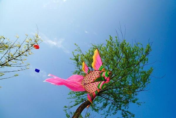 温州三八妇女节好玩的地方,温州三八节活动