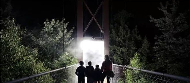 加拿大奇幻森林,加拿大魔法森林风景