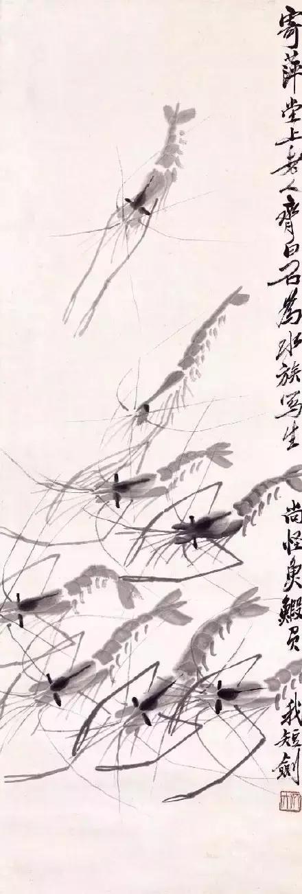 齐白石画虾的6只虾,画虾齐白石虾的画法步骤