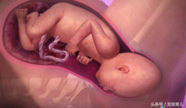 顺产后打宫缩针有什么作用,生宝宝宫缩是什么意思