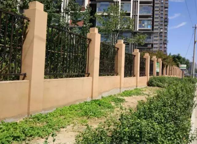 海淀后花园,海淀后花园小院