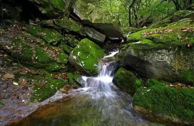 揭秘丨西安为什么在抖音上那么火？大半个朋友圈都被刷屏！