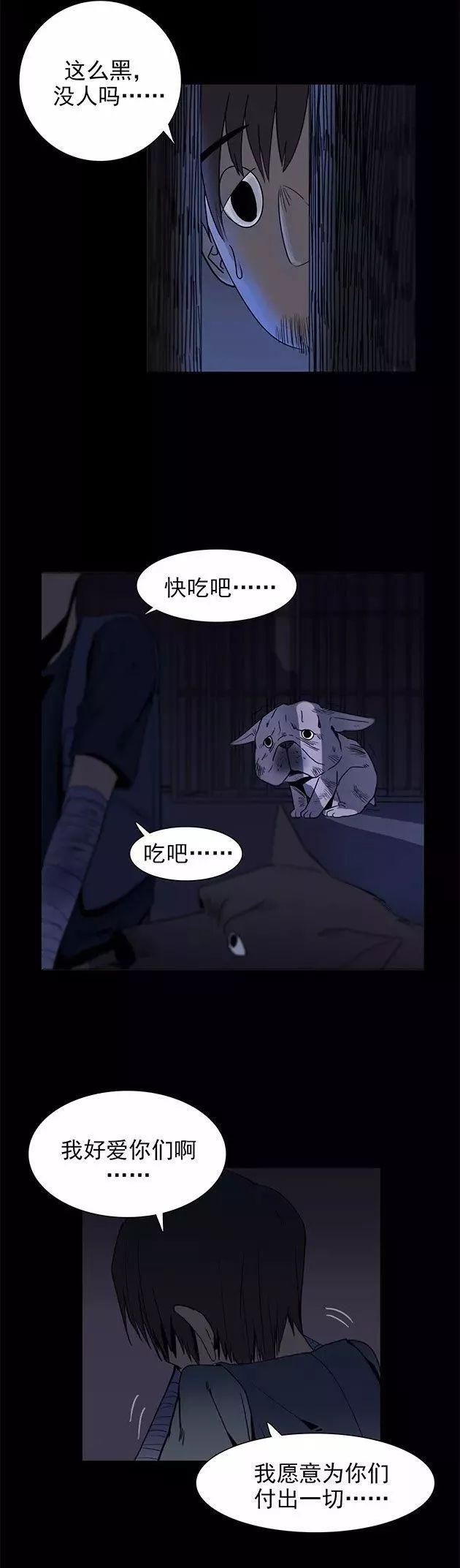 猫和铲屎官的日常生活漫画,铲屎官的搞笑漫画