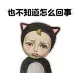 想要做个精致的猪猪女孩,本来想做一个精致优雅的女人