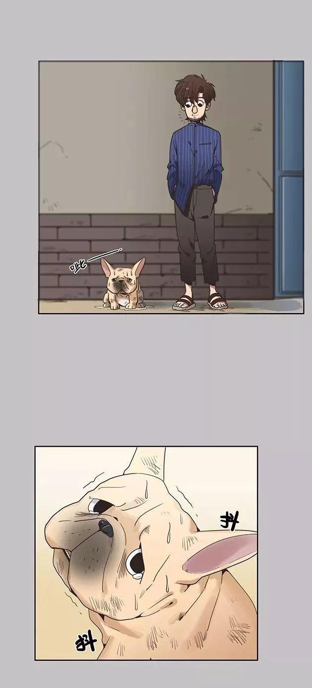 猫和铲屎官的日常生活漫画,铲屎官的搞笑漫画