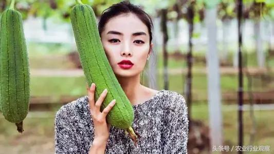 直播卖农产品最实用的5个技巧,直播农产品选品的方法和技巧