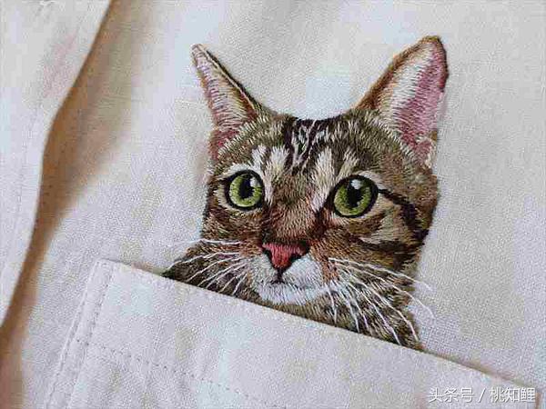 萌化了！网友上班带猫被误认为手机壳，简直是爆红的口袋猫同款