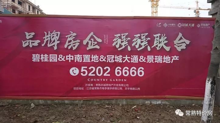 深度好文全文阅读,深度好文最新