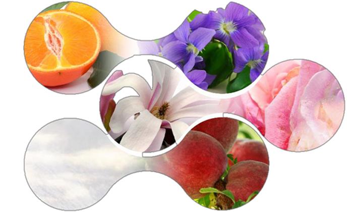 浪凡花韵女士淡香水,浪凡香水女士持久淡香正品第一名