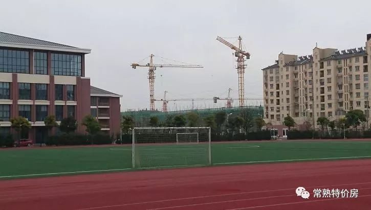 深度好文全文阅读,深度好文最新