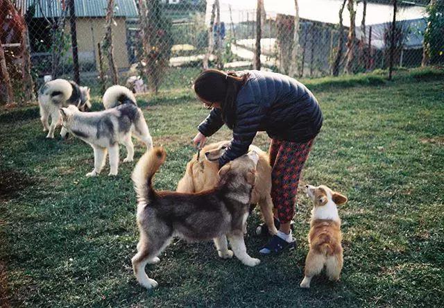 越南大叻必去的景点有哪些,越南大叻旅游强烈推荐的5个景点