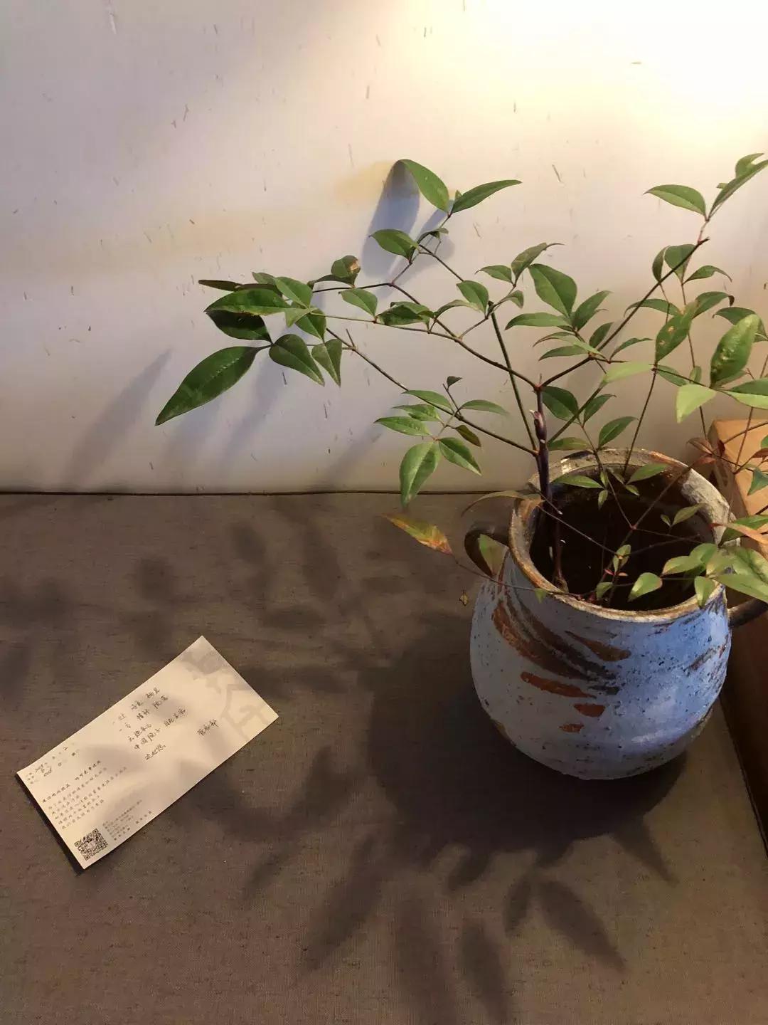 他把一幢从明朝穿越的江南老宅，变成了无锡南长街上的新地标……