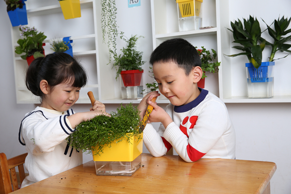 植树节主题升旗仪式活动方案,企业植树节活动创意活动方案