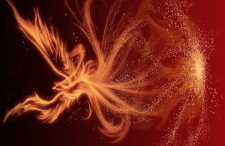 在电商的冲击下实体店该如何生存,实体店真的被电商击垮了吗