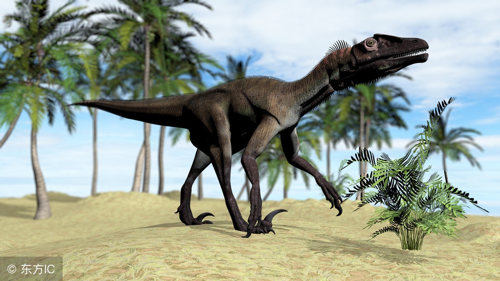 宝宝喜欢恐龙的原因 (3-6岁喜欢的恐龙)