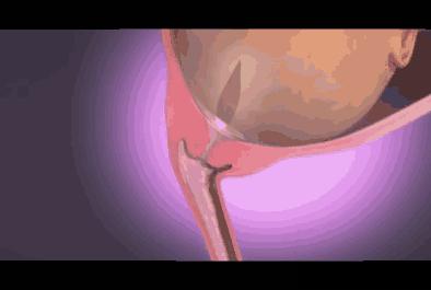 孕期羊水干货知识大全,孕妈妈产检资料收纳册