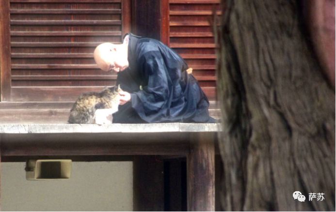 唐代高僧为普度佛法不惜“虐猫”，日本人还把这个故事画成了漫画