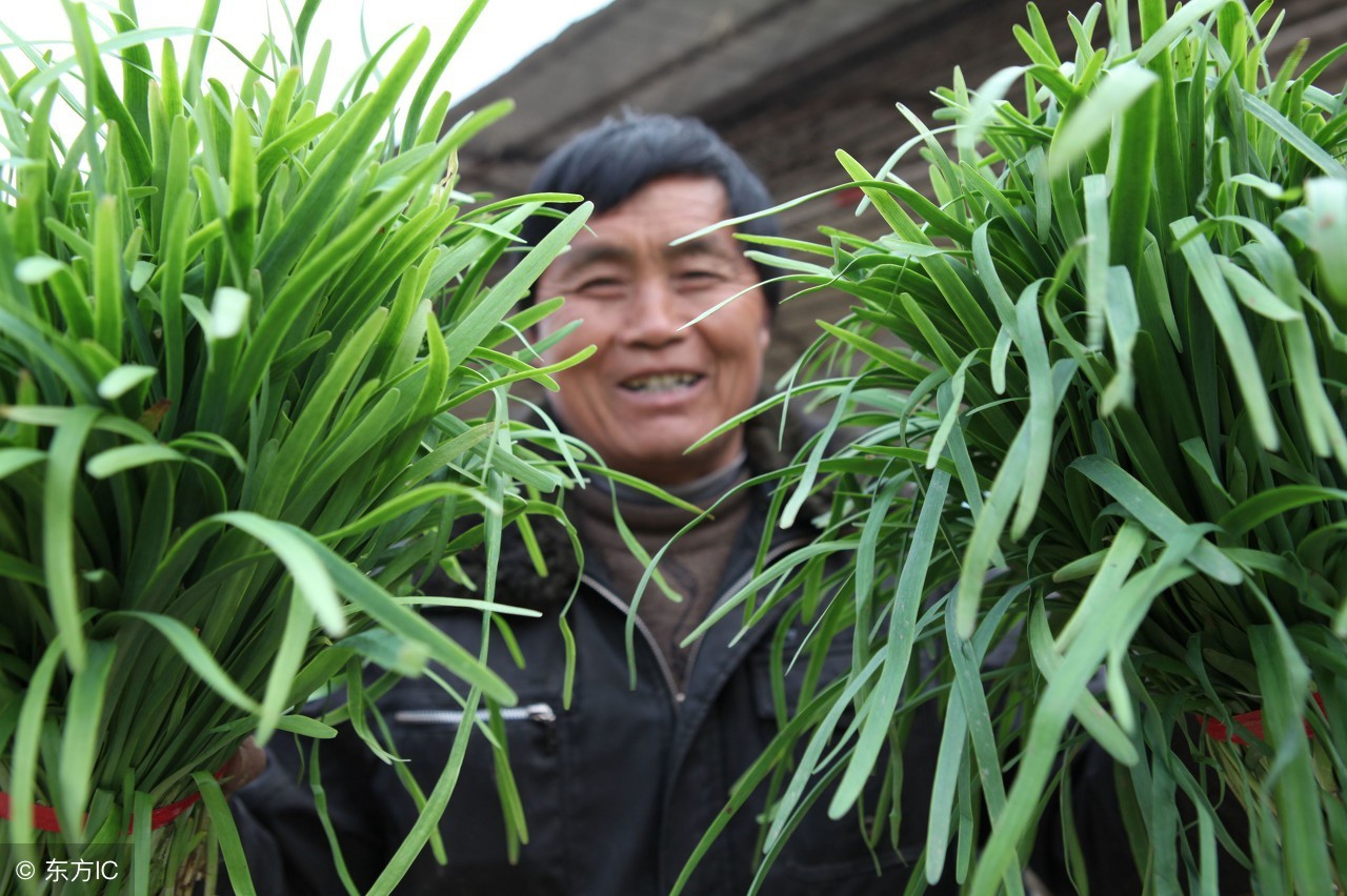 这里的农民都种这种东西好吃赚钱还壮阳