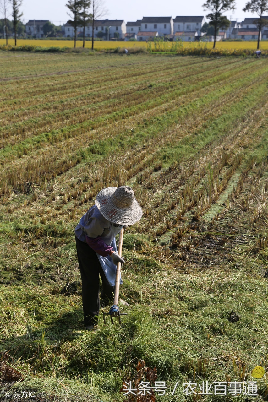 农民致富最新政策,农民致富远离这4件事情