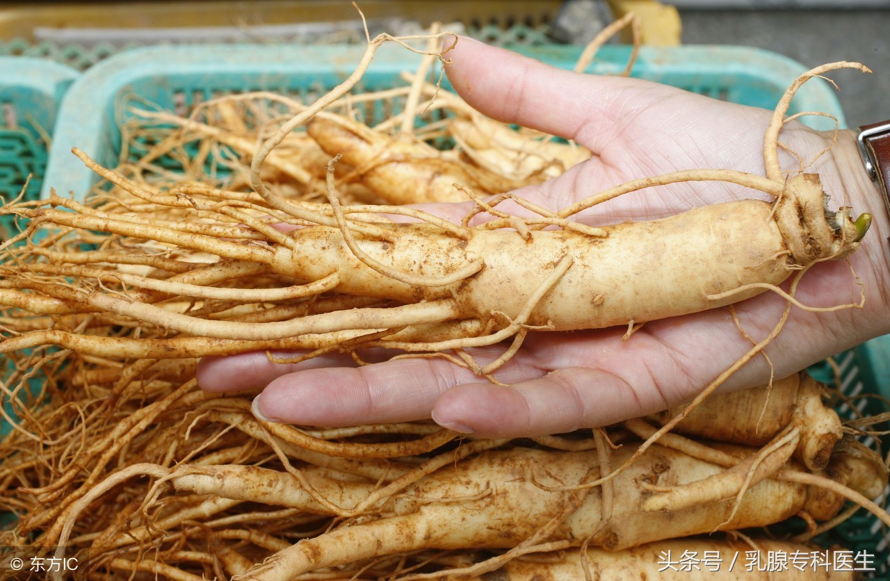 哪些食物里含有较多雌激素？这种食物可拮抗雌激素！