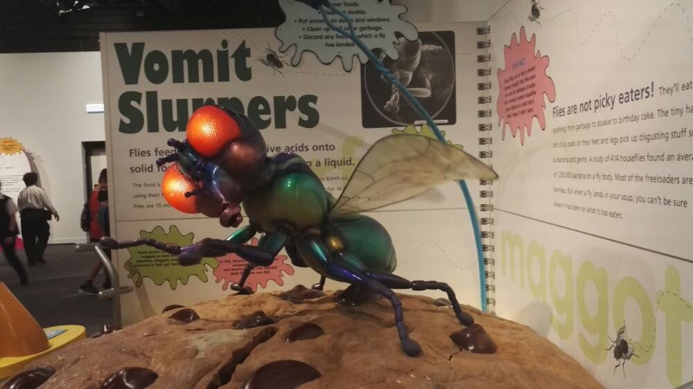 香港嘉里酒店自由行热门攻略,深圳去香港一日游最佳攻略自由行