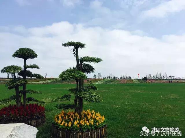 万物复苏春暖花开适合去玩的地方,花开的季节大家快来看风景
