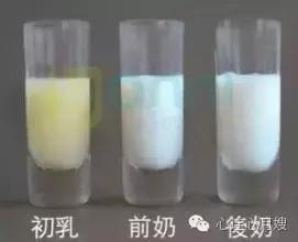 母乳的正常颜色是什么颜色,你的母乳充足吗