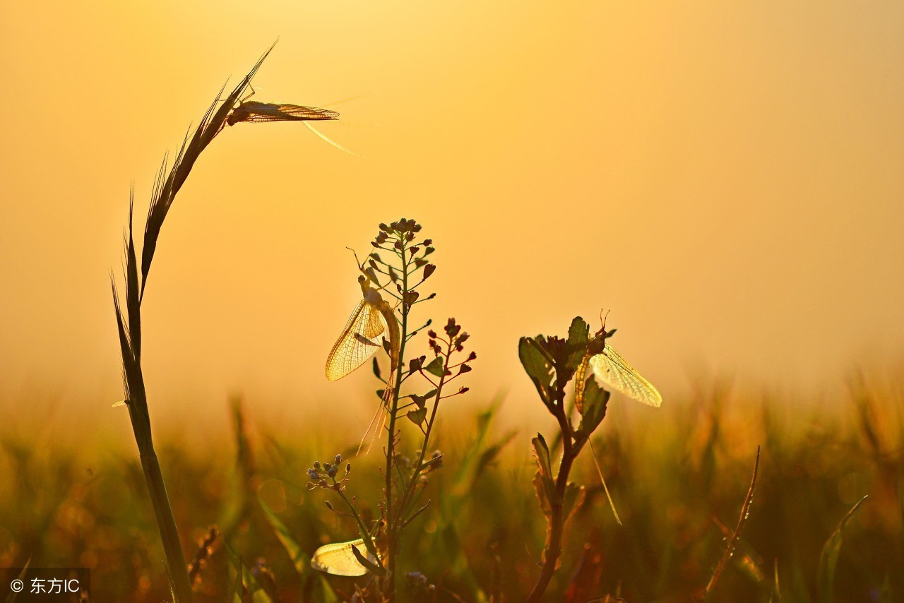怎么样才算是成熟,咋样才能算是成熟