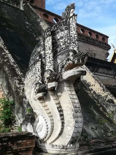 君行体验官专栏丨他在佛之国度，邂逅了一场浪漫