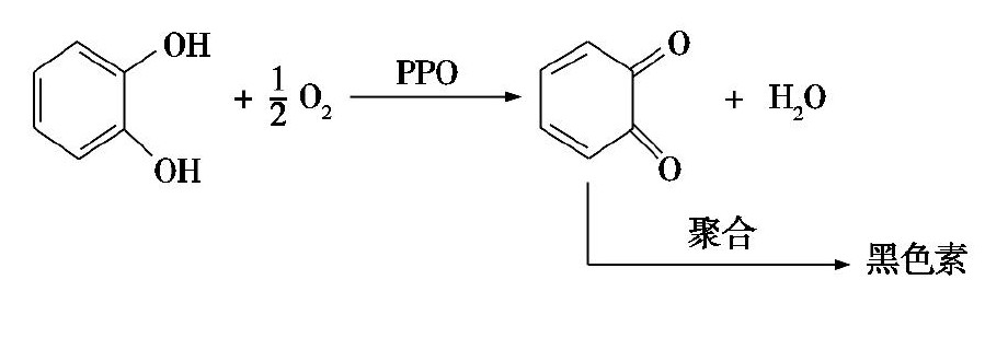 水果鲜切技术有哪些,鲜切果蔬加工工艺视频
