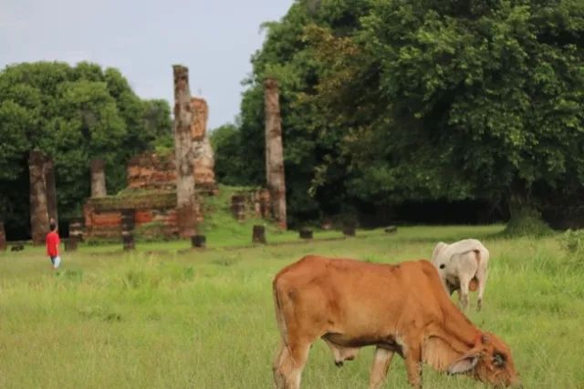 君行体验官专栏丨他在佛之国度，邂逅了一场浪漫
