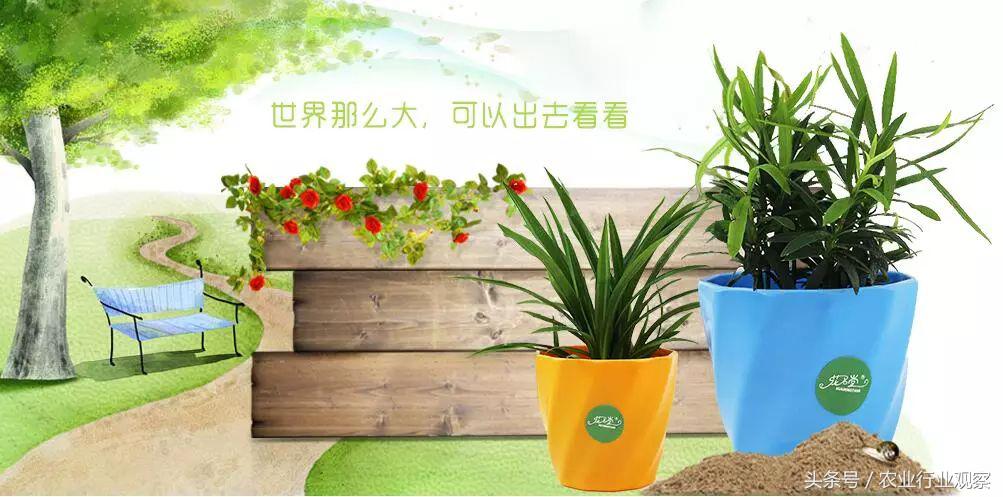 卖盆景一年挣多少钱,没有商业头脑的男人