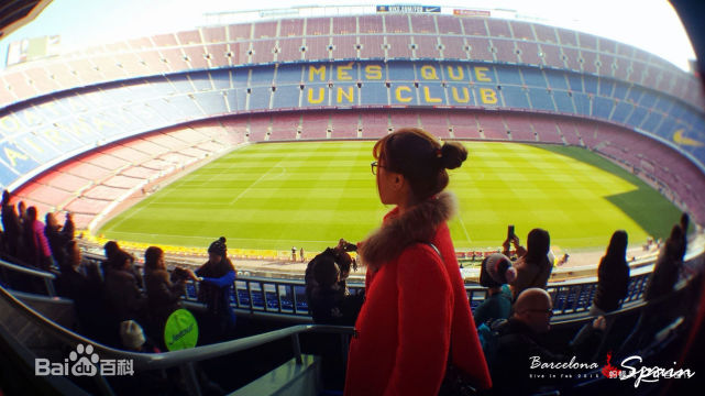 足坛十大豪门球队是哪些,豪门俱乐部球场主场