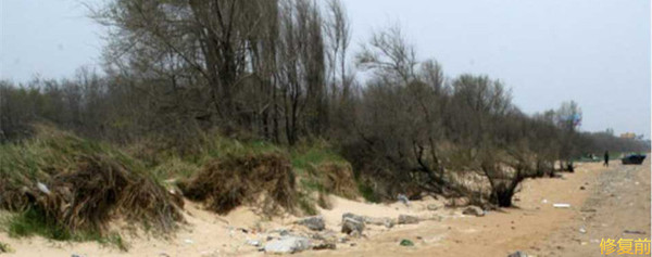 城市双修的缺点,什么是城市双修