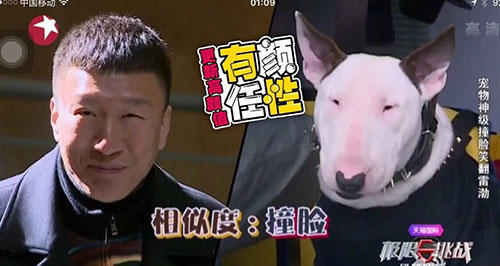 极限挑战三大不解之谜,极限挑战最心酸的一集