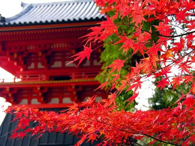 喜欢旅行是出于什么心理,喜欢去英国留学的原因