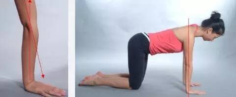 关节超伸,膝关节超伸训练动作