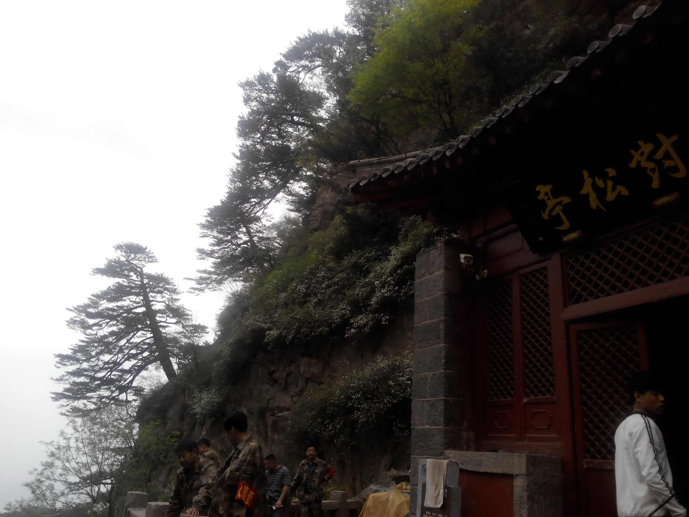 天津去泰山自由行攻略,天津泰山旅游攻略自助游