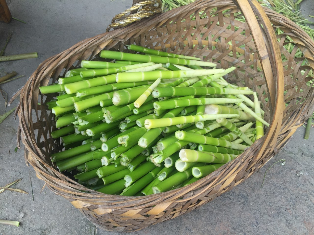 没有远方，就在陈家铺！先锋书店云夕酒店扎根松阳