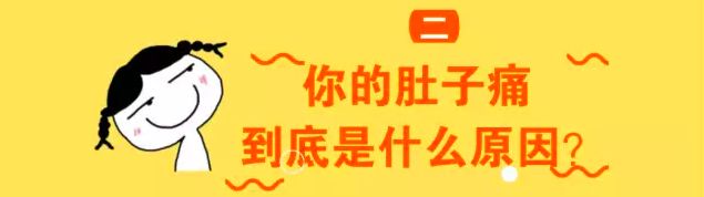肚子的科普视频,科普人体肚子