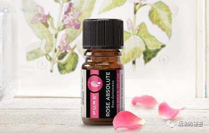 美乐家生姜精油的功效与作用,美乐家精油大全